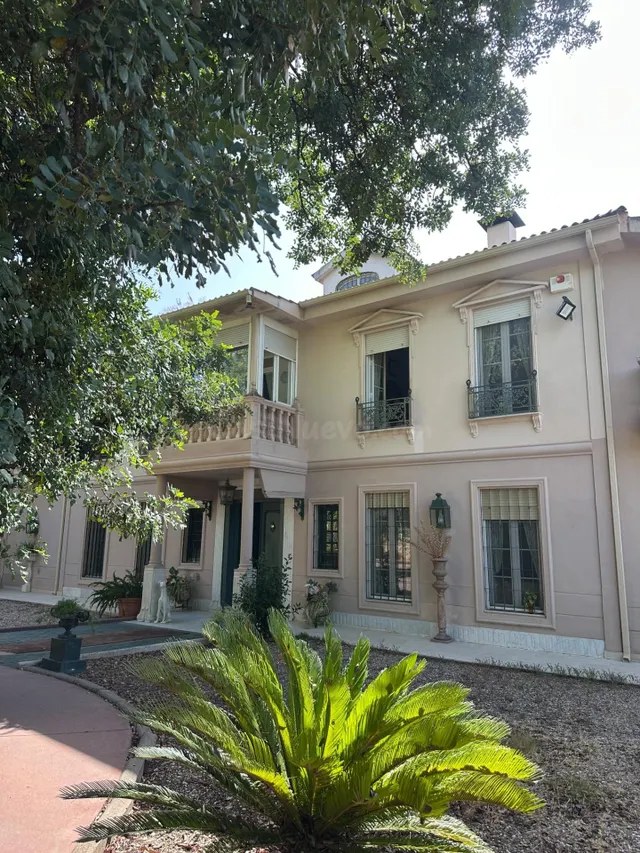 EXCLUSIVA FINCA SEÑORIAL CON TRES VIVIENDAS Y PISCINA EN UNA - foto 4