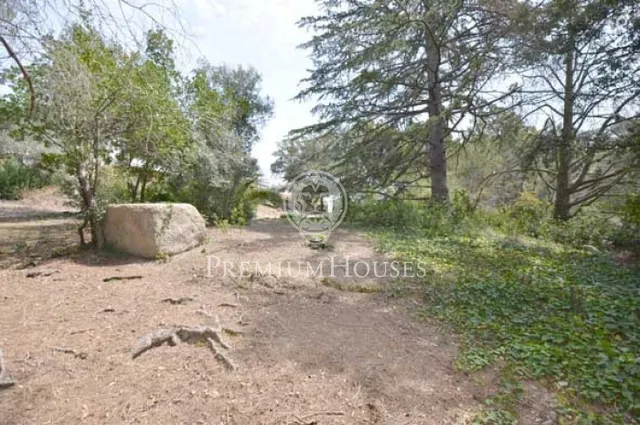 Casa en venta para reformar segregar parcela — 20