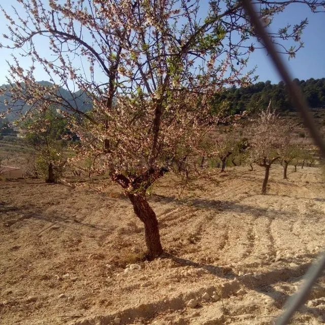 Parcela 223m² en venta - Comunidad valenciana