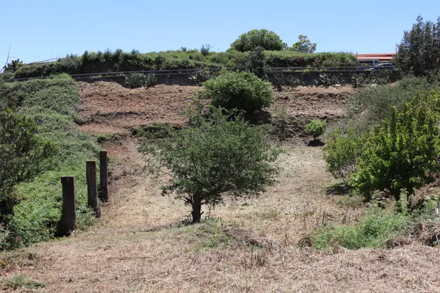 Terreno Agrario en Venta â Zona de Erjos (municipio de Los Silos / El Tanque) — 10