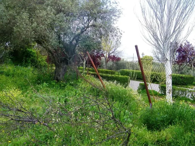 Solar urbano de 5.347 m2 para 16 chalets junto al Pantano de Valdecañas — 7