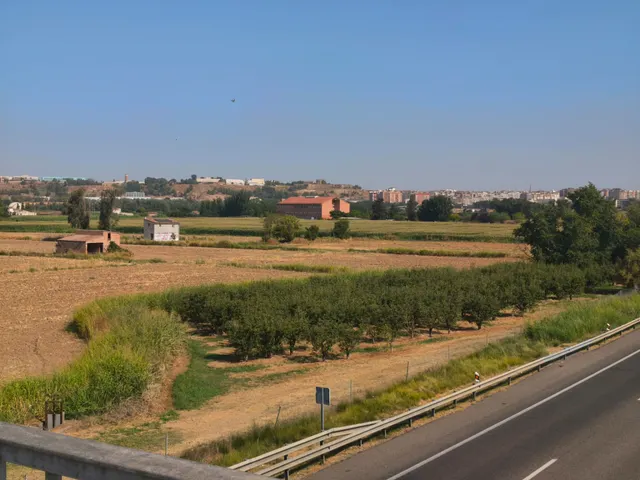 Fincas rústicas en Lleida – venta conjunta — 8