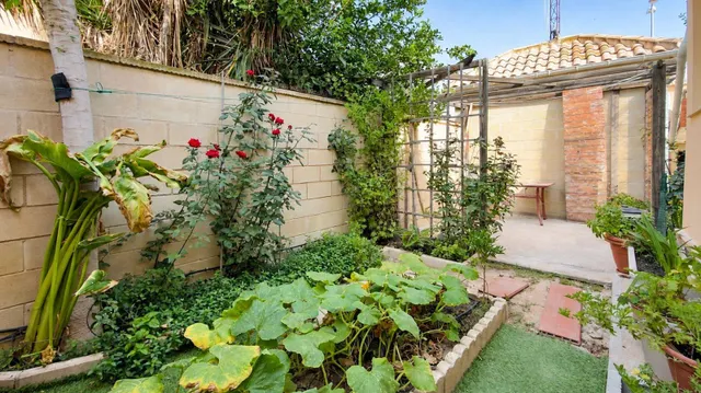 Casa con jardín privado, solárium y gran potencial en Ciudad Quesada — 27