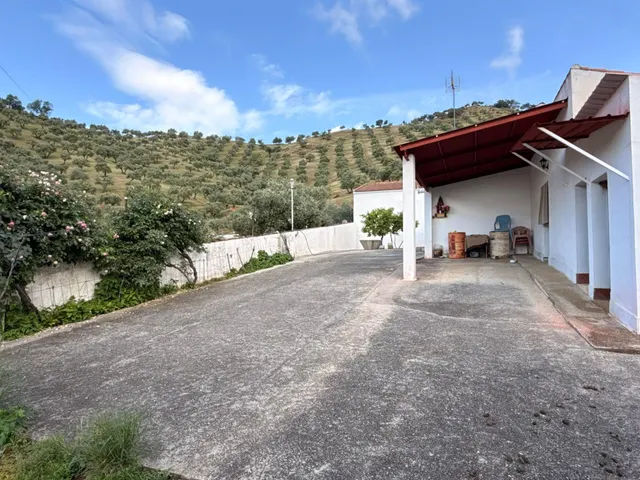 Finca rústica de 26 ha con 3.000 olivos ecológicos, cortijos y alta producción. — 37