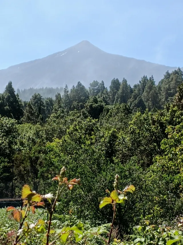 TERRENO RÚSTICO EN VENTA EN LLANO EN CERDO GORDO – LA MONTAÑ - foto 4