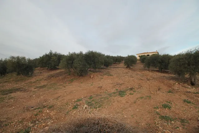Parcela 330m² en venta - Alora pueblo — 20