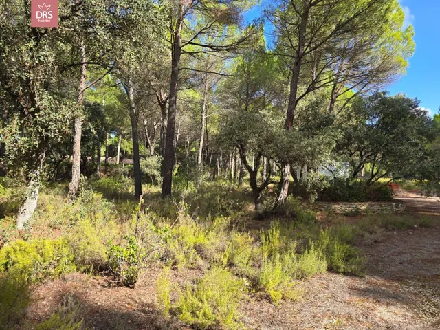 Terreno en urb pinares del jucar — 7