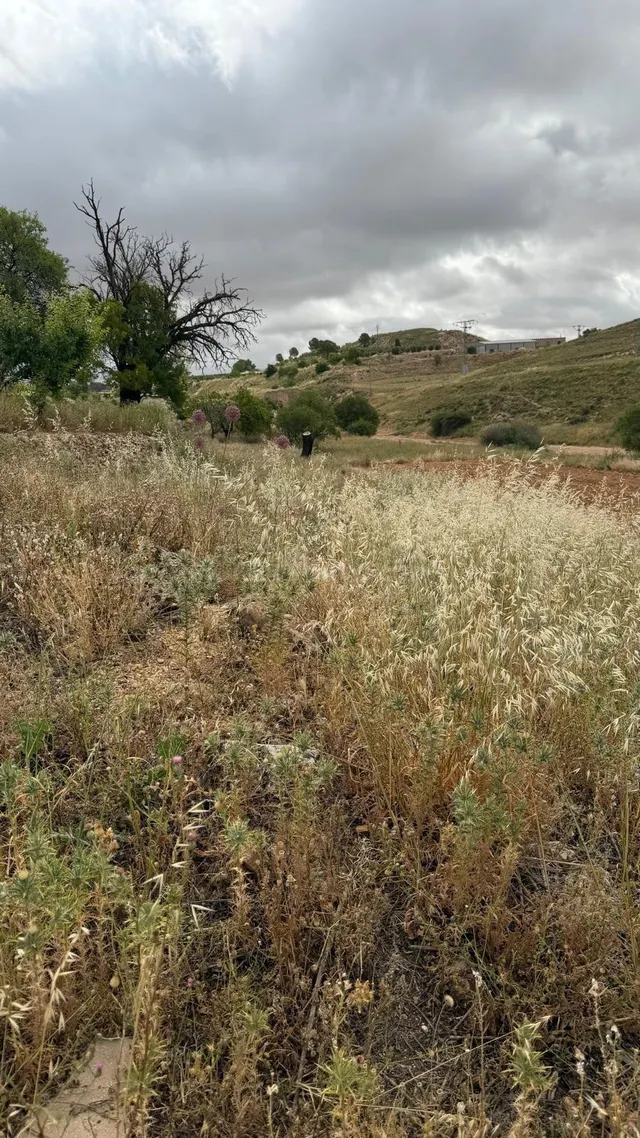 Parcela de Terreno Urbano en venta en Fuentealbilla, Albacet - foto 5