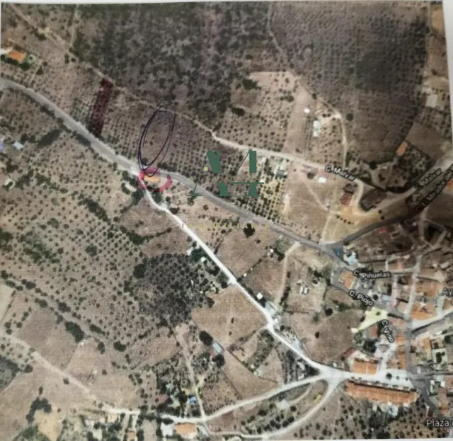 Terreno Rural en Zona Risco - Sierra de Fuentes - foto 3