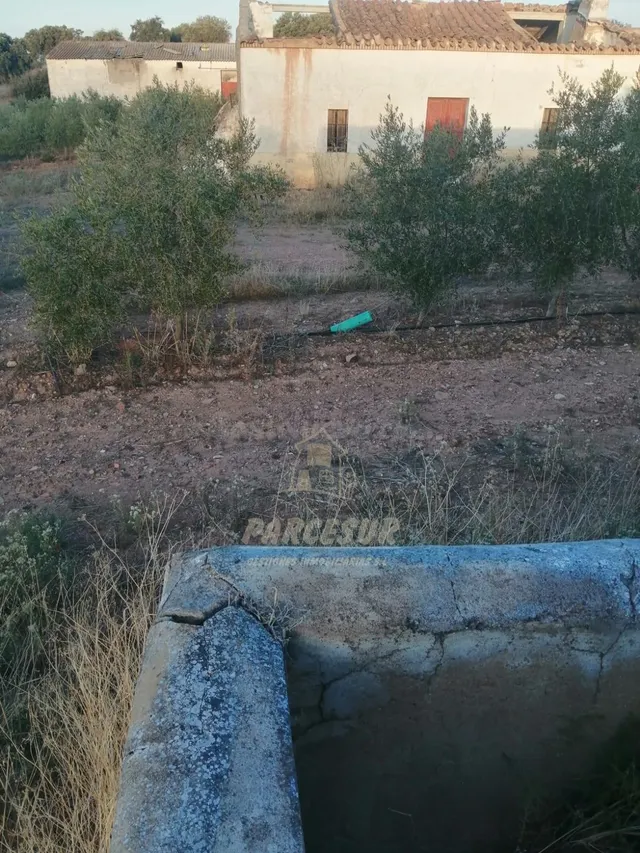 FUENTE OBEJUNA- LA GRANJUELA - Finca de 203.000 m (20 Has.)  - foto 5