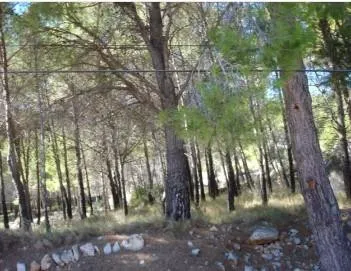 Terreno urbano en venta - Montornes - Las Palmas - El Refugi - foto 4