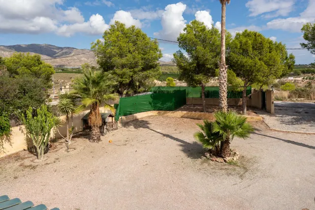 Espectacular chalet con piscina y gran jardín en Albatera — 37