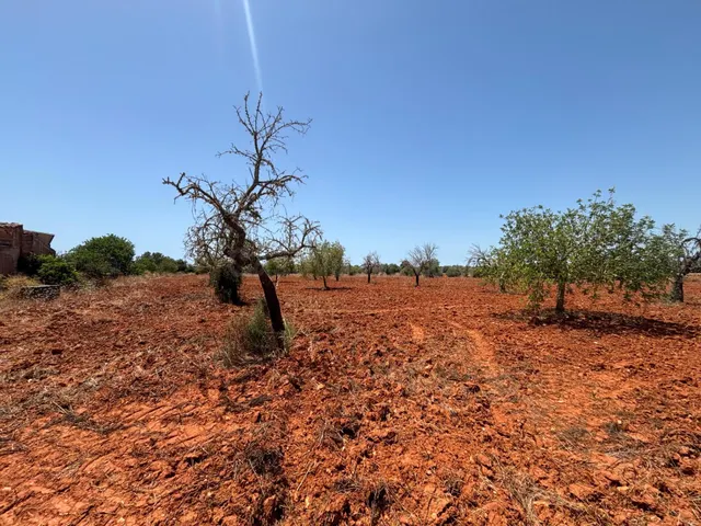 FINCA RUSTICA EN LLUCMAJOR - CALA PI - foto 5