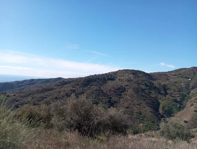 Terreno Rústico con Vistas Espectaculares en Totalán – Gran  - foto 5