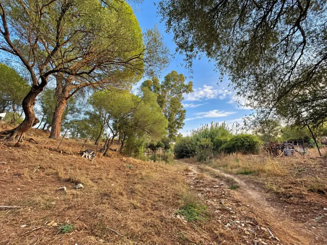 Finca rústica de 18.444 m2 con pozo y construcción catastrada en Alcalá de los Gazule — 32