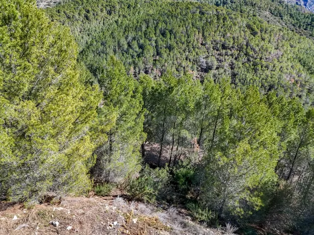 Parcela en venta - Santa clara - foto 4