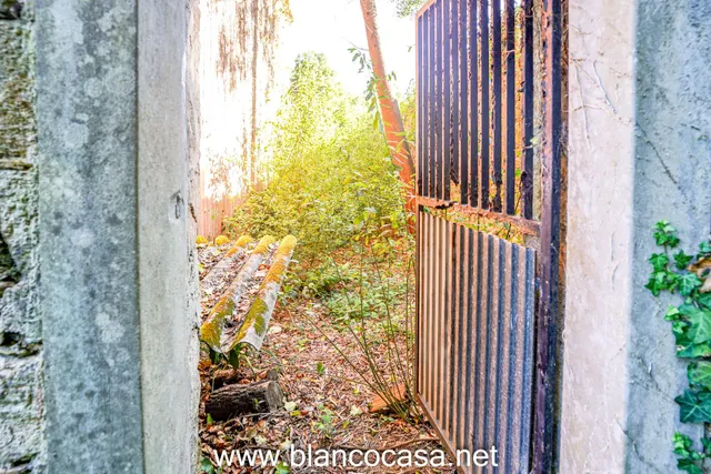 ¡¡CASA + FINCA de 9916 M2 + HÓRREO para REFORMAR por 68.990 €!! — 11