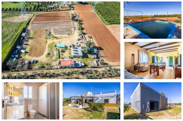 La parcela con vivienda, zona de ocio y proyectos que estaba