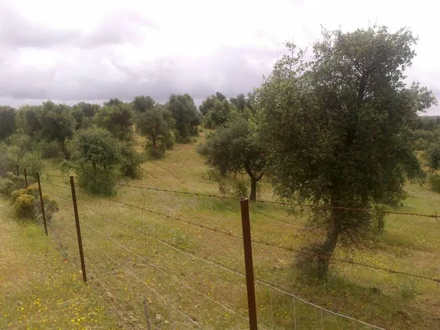 ESPECTACULAR FINCA RÚSTICA 200 HECTÁREAS PARA AGRICOLA, GANADERO, FORESTAL, CAZA EN VALVERDE HUELVA — 6
