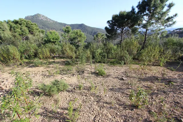 Parcela exclusiva con vistas al Mediterráneo en Benahavís — 20
