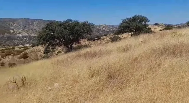"Finca de Ensueño en Hornachuelos: Caza, Naturaleza y Confort" — 40