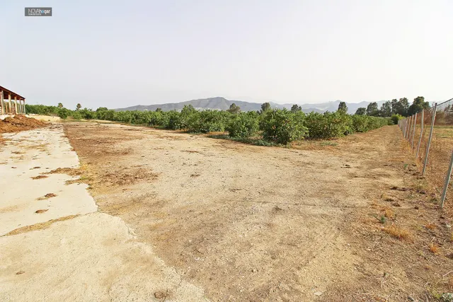 FINCA RÚSTICA EN CAMPANILLAS — 21