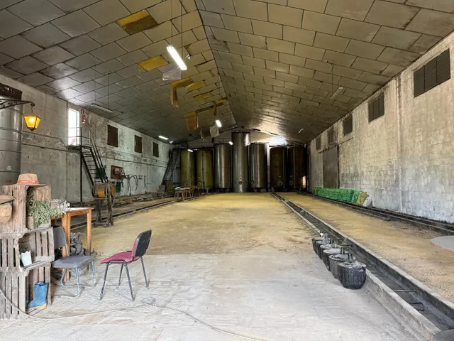 Viñedo de 24,40ha 1300m2 naves y 400m2 restaurante — 26