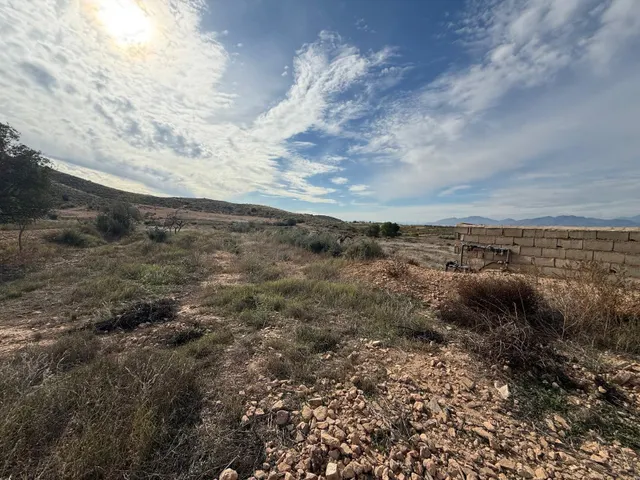 GRAN FINCA CON CASA PARA REFORMAR!!! — 12