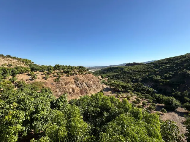 Finca rústica con cultivos y pozos propios en Vélez-Málaga — 20