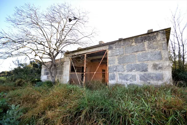 Finca con proyecto aprobado en Llubi — 8