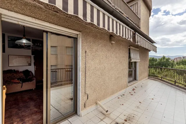 Pisazo en paseo del salón - Granada — 33
