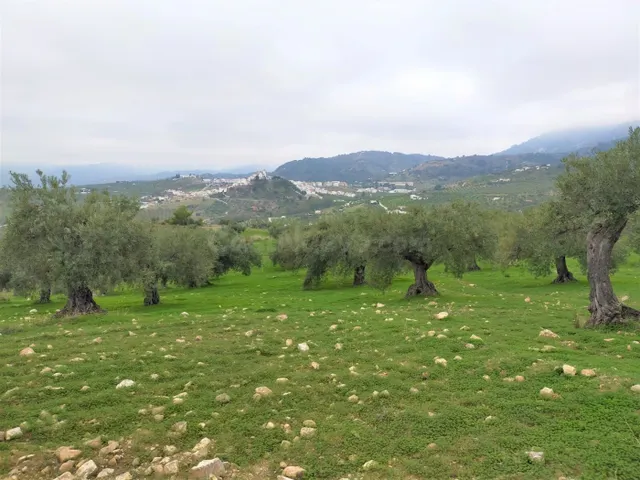 Espectacular finca en la localidad de Alozaina — 5