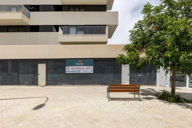 ESPECTACULAR LOCAL COMERCIAL EN GRANADA — 6