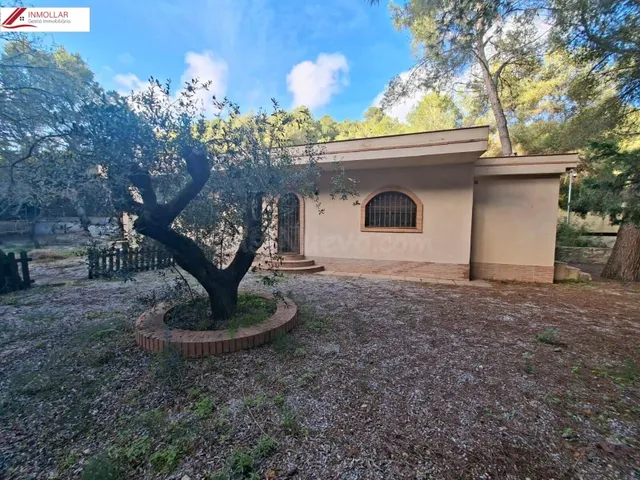 OCASIÓN FINCA RÚSTICA CON DOS CASAS INDEPENDIENTES, IDEAL DO - foto 4