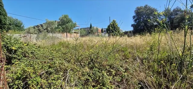 Lote de 7 solares urbanos en Sector Can Salgues II — 8