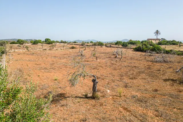 Finca rústica para construir en la carretera de s'Illot - Portocristo — 5
