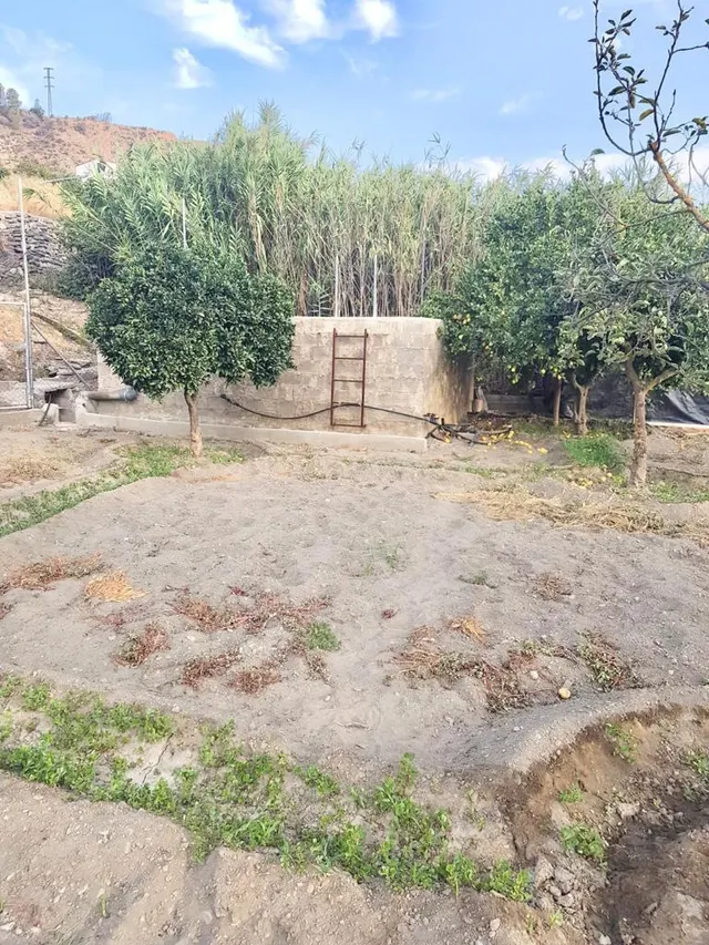 FINCA CON CORTIJO — 6