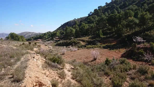 SE VENDE PARCELA EN TOTANA (MURCIA) — 12