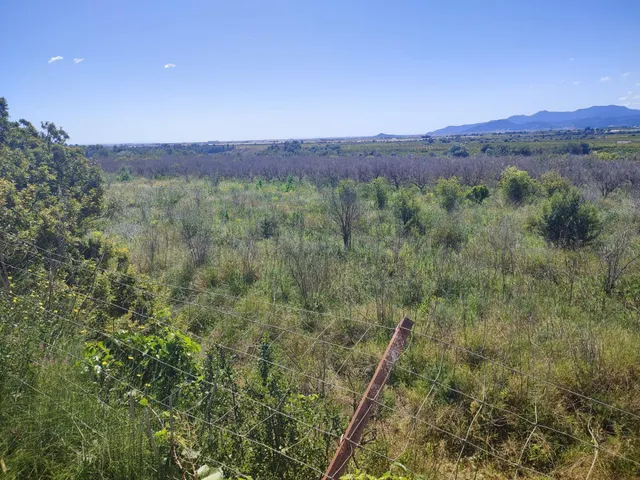 FINCA DE NARANJOS - foto 2