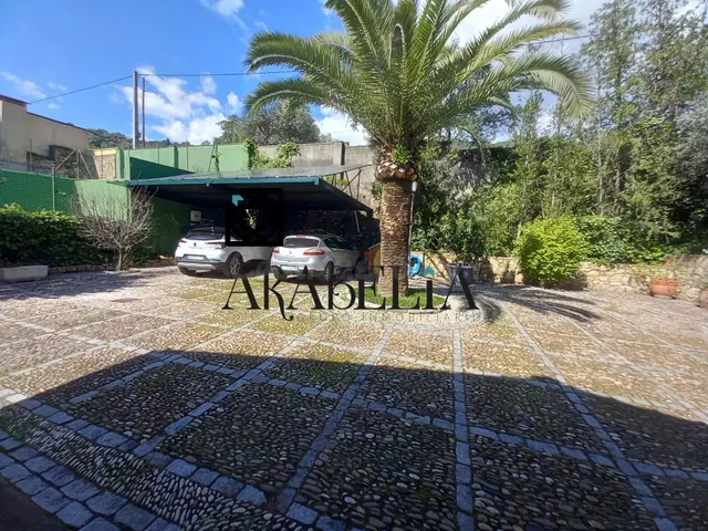 ESPECTACULAR FINCA DE 3.000m2 | 2 VIVIENDAS INDEPENDIENTES | - foto 4