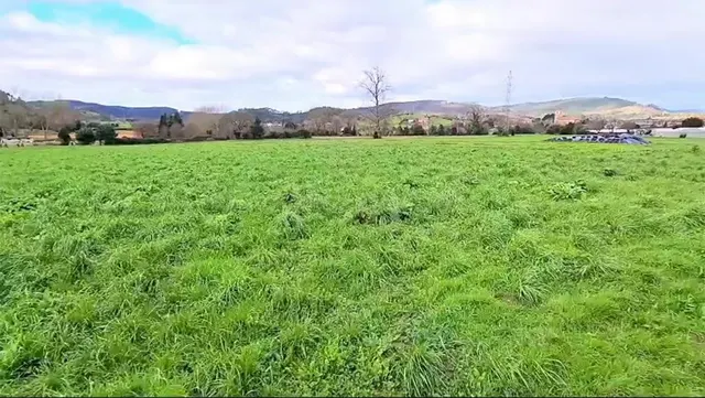 OPORTUNIDAD COMO INVERSIÓN. TERRENO COMPLETAMENTE LLANO. CIC - foto 5