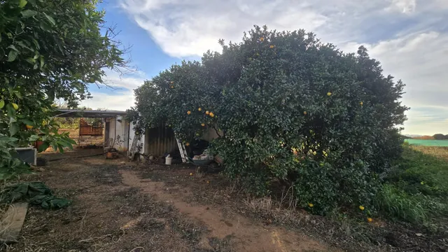 PARCELA -SEGREGADA CON REFUGIO EN ZONA PINAR DE LOS FRANCESES — 9