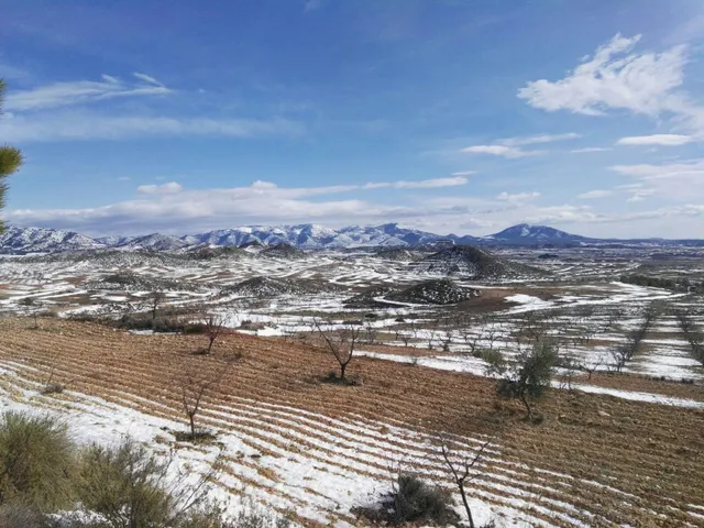 DISFRUTA DE LA MONTAÑA - FINCA DE ALMENDROS CON CASA DE MADE