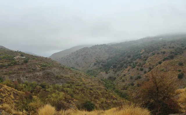 VENTA EN SIERRO ( ALMERÍA ) DE TERRENO PARA CAZA. — 16