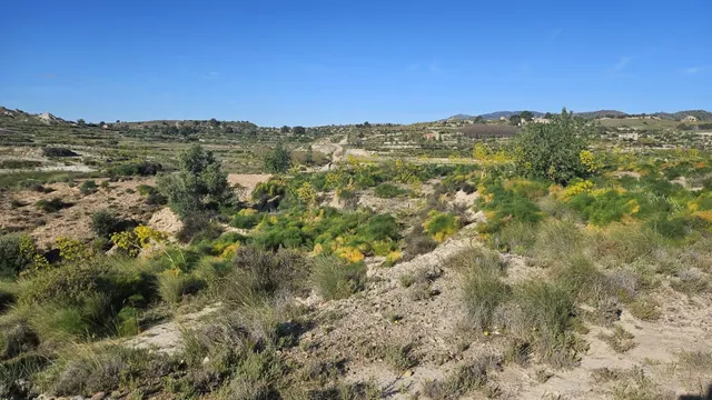 Se vende terreno rústico de 6.700 m2 en Corvera — 4