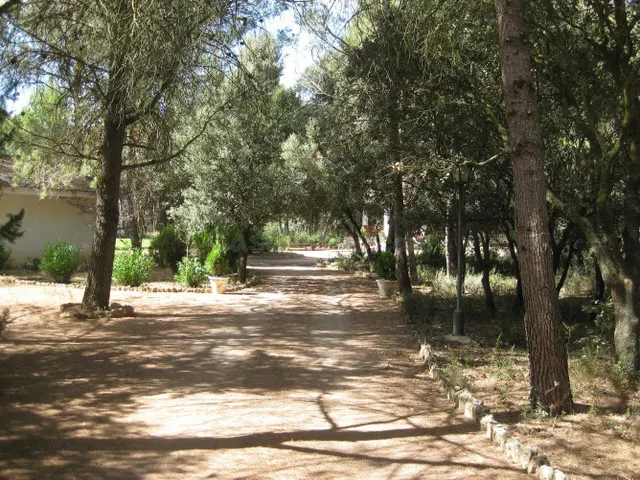 OPORTUNIDAD PARCELA EN LA LOS PINARES DEL JUCAR - foto 2