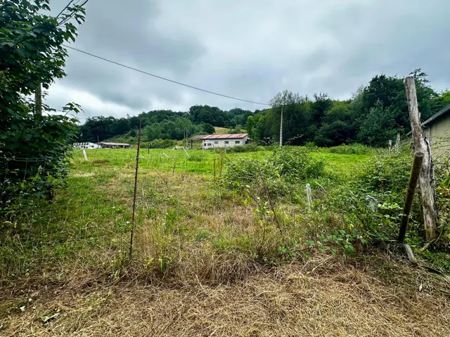 FINCA EDIFICABLE A UN PASO DE COVADONGA — 8