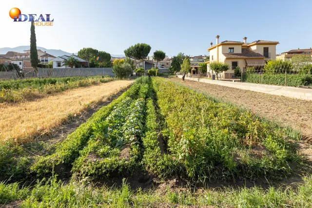 TERRENO URBANO 1060m EN LA ZUBIA — 4