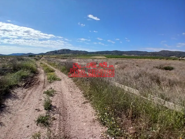 ¡¡ GRAN PARCELA DE 25851 m2 EN ABANILLA !! — 5