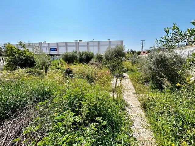 Parcela en venta - Centro de la Ciudad Quesada - foto 3